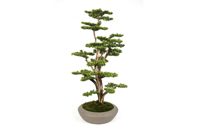 Bonsai Yapay Ağaç Bitki