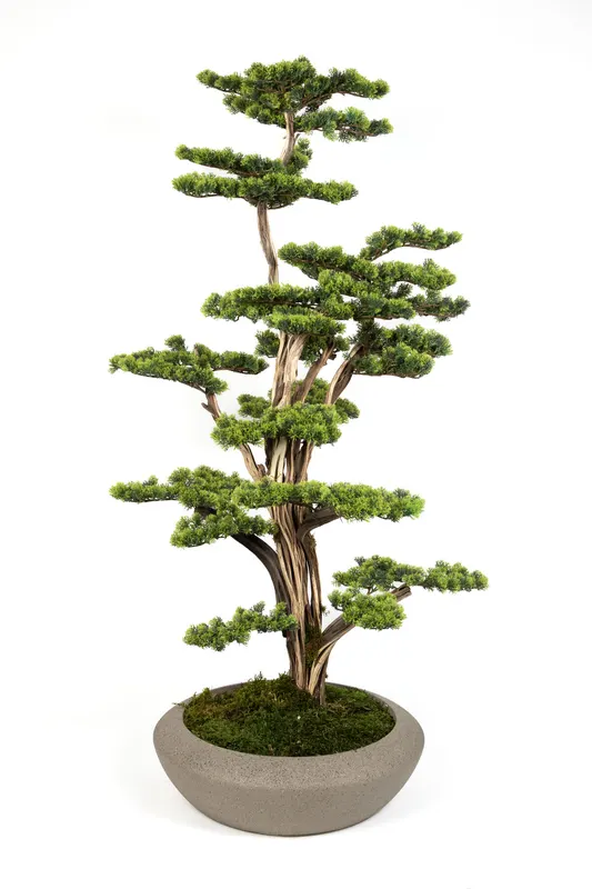 Bonsai Yapay Ağaç Bitki, görsel 30