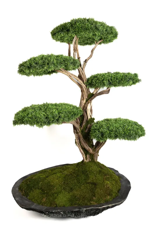 Bonsai Yapay Ağaç Bitki, görsel 38