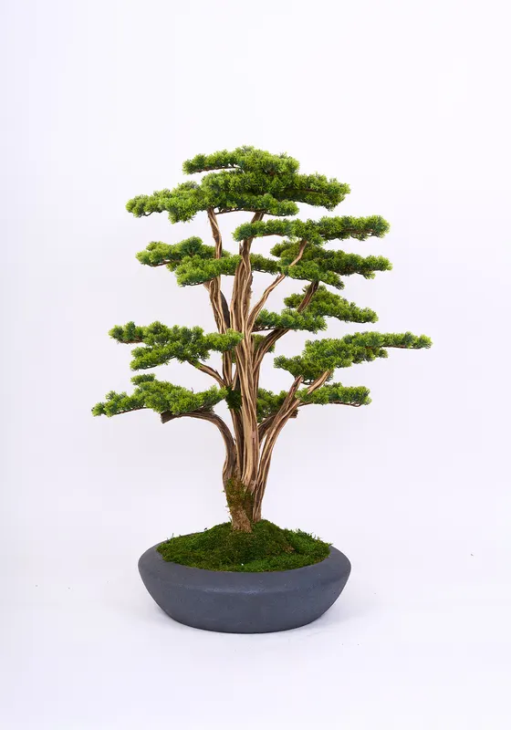 Bonsai Yapay Ağaç Bitki, görsel 7